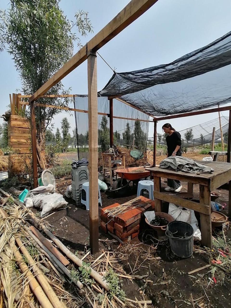 The field camp on a chinampa: shade structure, tools, bricks and compost