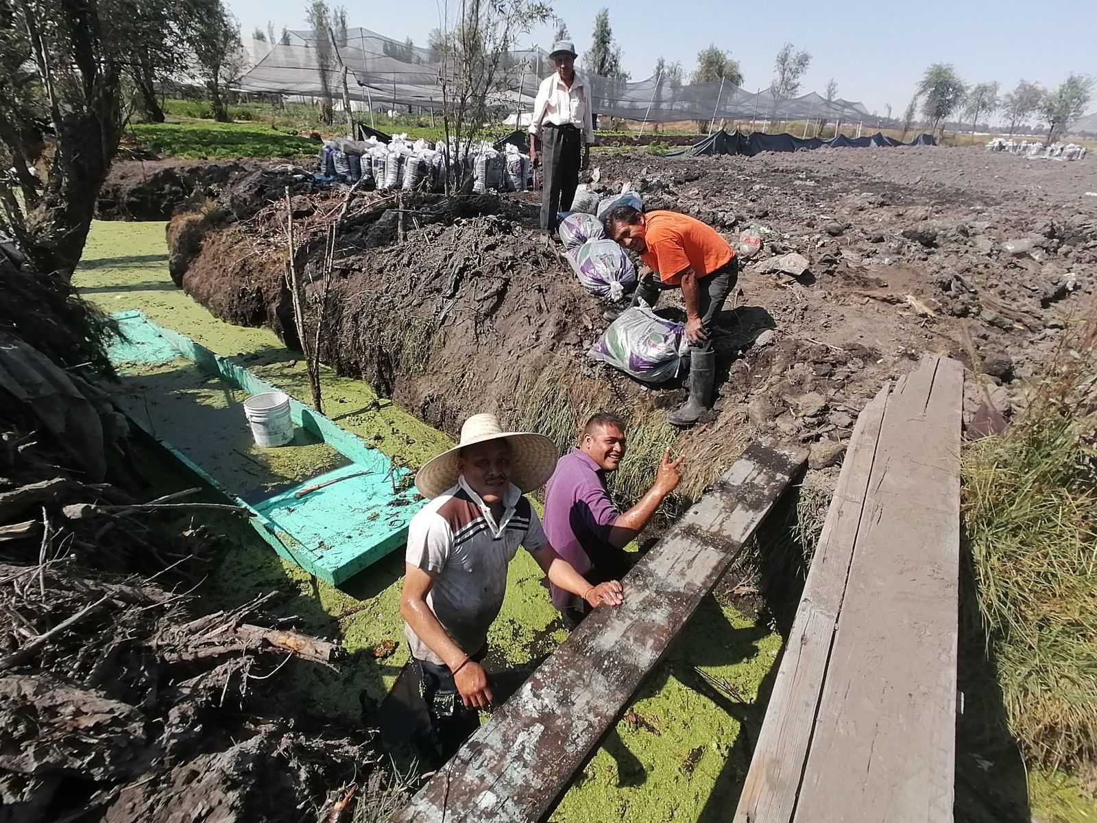 A team restoring a canal edge, standing waist-deep among duckweed, smiling at the camera