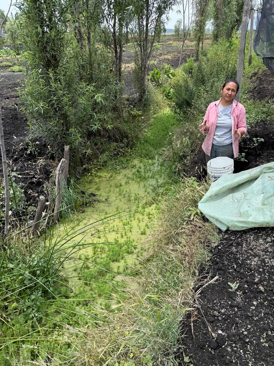 Cassandra Garduño standing beside a restored canal on her chinampa